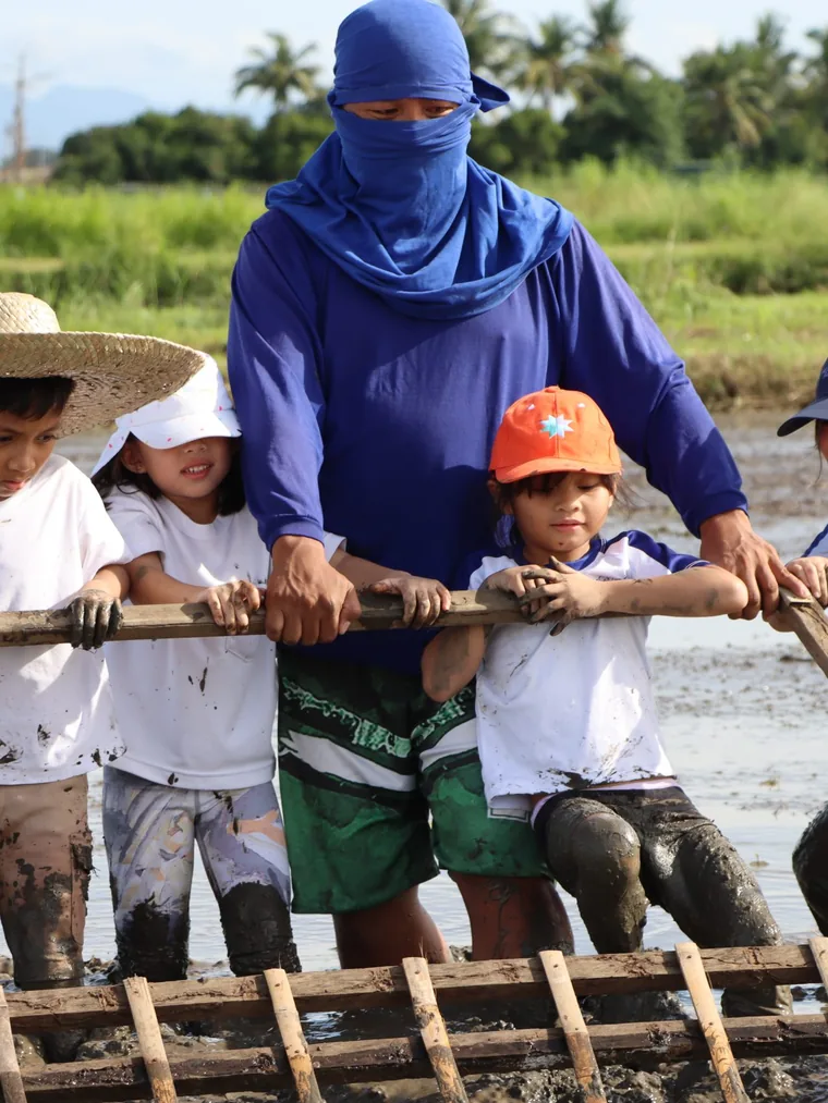 Schoolchildren working a paddy alongside the person who farms it.