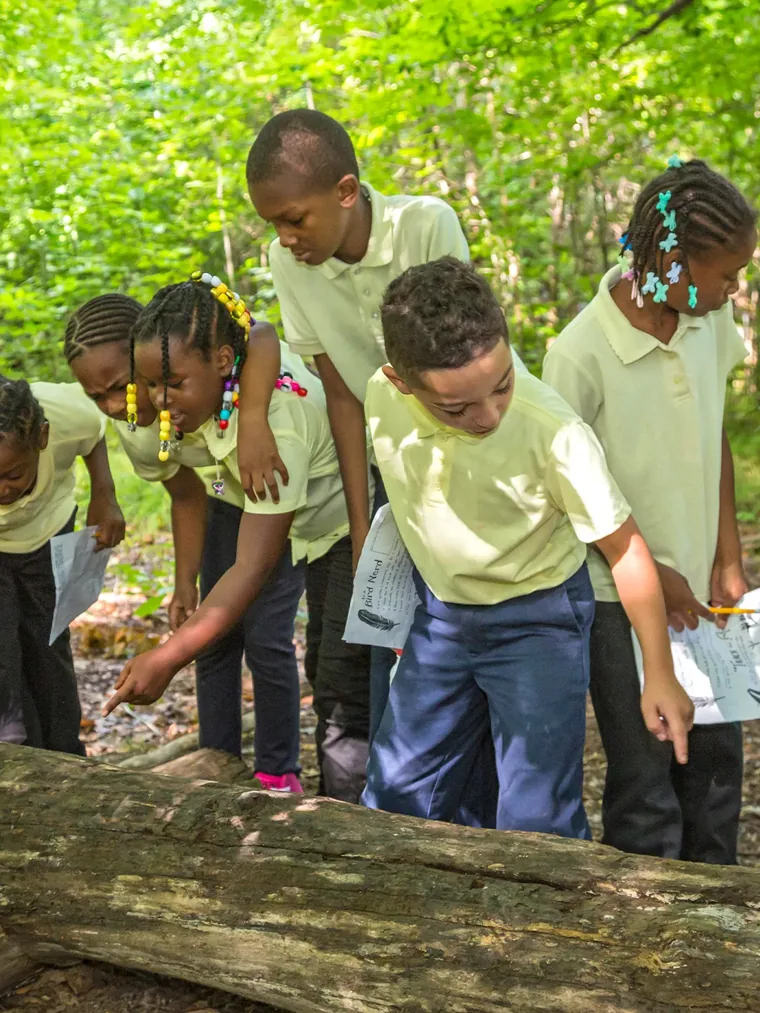 A school group crouched over a fallen log with their guide, recording what they find.