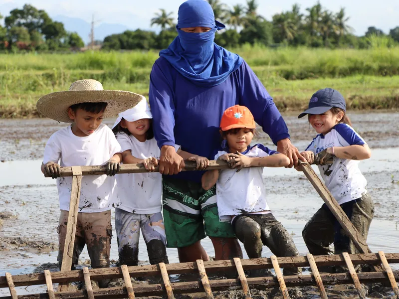 Schoolchildren working a paddy alongside the person who farms it.