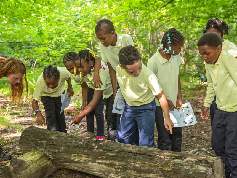 A school group crouched over a fallen log with their guide, recording what they find.