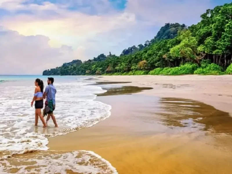 Shallow water and forest edge in the Andamans.