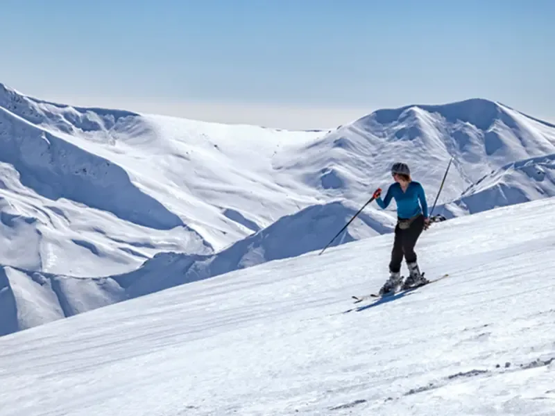 Snow and pine above Gulmarg.