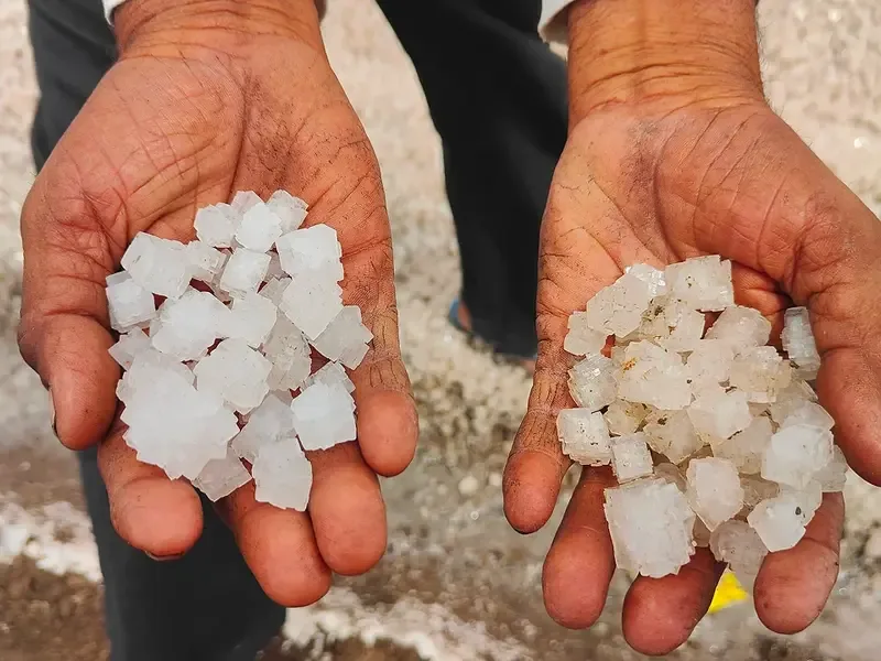 Craft and community country in Kutch, the kind of setting a CAS service placement runs in.