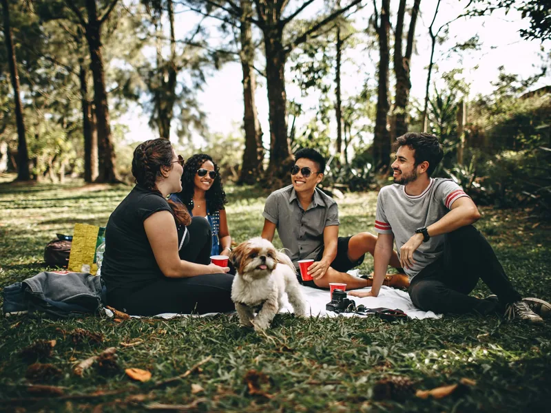 A group sitting out together on the grass in a wooded park.